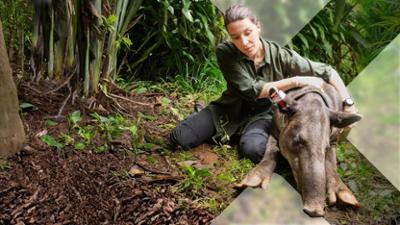 Faszination Erde: Staffel 22, Folge 12: Costa Rica - Das pure Leben?