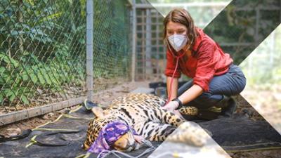 Faszination Erde: Staffel 22, Folge 8: Peru - Ein Land, vier Welten