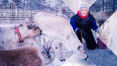 Faszination Erde: Staffel 22, Folge 13: Finnland - Suche nach dem Glück