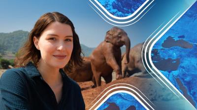 Faszination Erde: Staffel 22, Folge 1: Faszination Erde: Thailand - Der Wildnis zu nah? Faszination Erde: Staffel 22, Folge 1: Faszination Erde: Thailand - Der Wildnis zu nah?