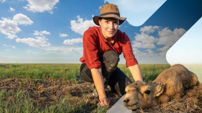 Faszination Erde: Staffel 22, Folge 11: Kasachstan - Die Steppe lebt