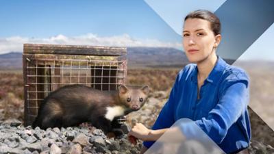 Faszination Erde: Staffel 22, Folge 10: Neuseeland - Lizenz zum Töten