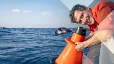 Faszination Wasser: Staffel 1, Folge 12: Unser Mittelmeer – Was lebt unter der Oberfläche?