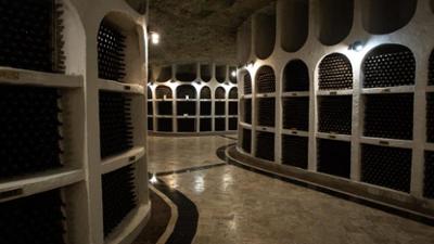 Geheime Welten: Staffel 2, Folge 6: Steinoasen