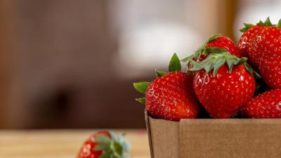 Genuss mit Beigeschmack: Staffel 1, Folge 14: Erdbeeren