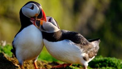 Großbritannien - Im Rhythmus der Natur: Staffel 1, Folge 3: Die Küste von Pembrokeshire