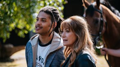 Harry Wild - Mörderjagd in Dublin: Staffel 4, Folge 3: Die Geschichte vom toten Pferd