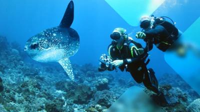 Kielings wilde Welt: Staffel 2025, Folge 3: Wasserparadiese