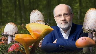 Leschs Kosmos: Killerpilze auf dem Vormarsch? Leschs Kosmos: Killerpilze auf dem Vormarsch?