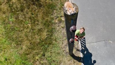 Löwenzahn mit Fritz Fuchs: Katzen