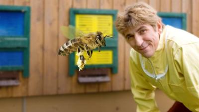 Löwenzahn mit Fritz Fuchs: Bienen - Der Raub der Honigmacher
