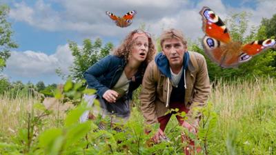 Löwenzahn mit Fritz Fuchs: Schmetterlinge - Einsatz für die Wildwiese