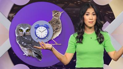 MAITHINK X - Die Show: Zeitumstellung 