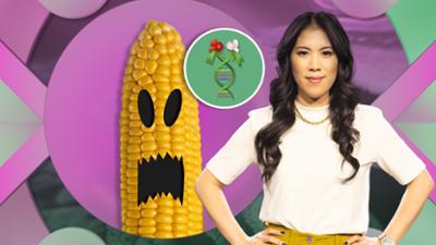 MAITHINK X - Die Show: Grüne Gentechnik