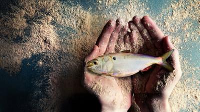 Meer Crime: Staffel 1, Folge 5: Fischmehl – Ein schmutziges Business