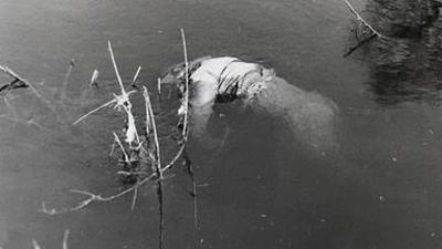 Mysteriöse Kriminalfälle der DDR: Habgier