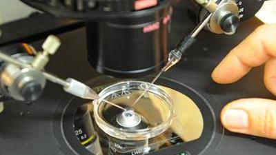 nano: Moralische Zwickmühlen