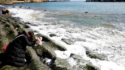 nano: Fukushima: Von der Katastrophe zum Atomausstieg