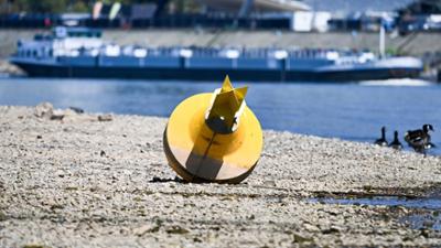 NANO: vom 23. August 2022: Sind Dürre und Wassermangel das neue Normal? NANO: vom 23. August 2022: Sind Dürre und Wassermangel das neue Normal?
