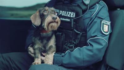 Nord Nord Mord: Staffel 3, Folge 7: Sievers und der verlorene Hund