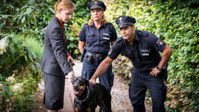 Notruf Hafenkante: Staffel 10, Folge 10: Hund und Katze