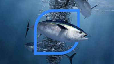 plan b: Staffel 2024, Folge 27: Die Fischretter