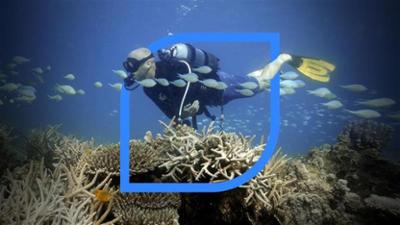 plan b: Staffel 2023, Folge 6: SOS Ozean plan b: Staffel 2023, Folge 6: SOS Ozean