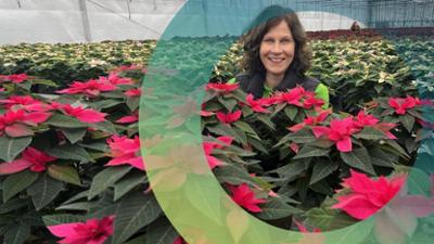 Platz im Grünen: Staffel 1, Folge 4: Tropische Weihnachtssterne zum Advent