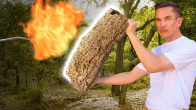 PUR+: Staffel 2025, Folge 19: Die Superkräfte der Bäume PUR+: Staffel 2025, Folge 19: Die Superkräfte der Bäume