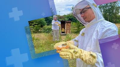 PUR+: Staffel 2026, Folge 8: Wespen - aggressiv und gefährlich?