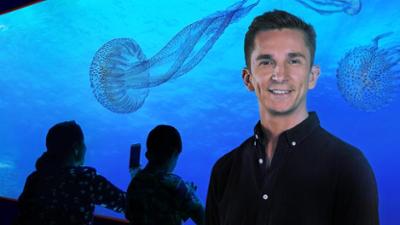 PUR+: Staffel 2018, Folge 27: Glibber-Geister im Meer