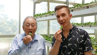 PUR+: Ernährung der Zukunft - Tomaten im Weltall