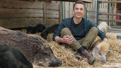 PUR+: Staffel 2025, Folge 13: Schweine - Saudoof oder sauschlau?