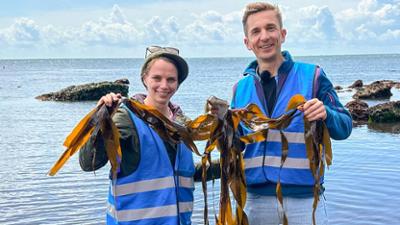 PUR+: Staffel 2023, Folge 18: Algen - Klimahelden aus dem Meer