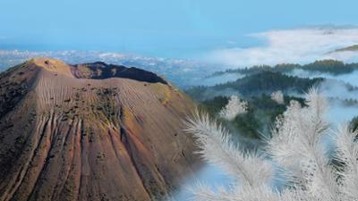 Rätselhafte Phänomene: Staffel 2024, Folge 2: Rätselhafte Phänomene - Vulkane und Geisterbäume