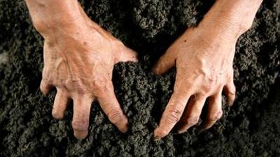 scobel: Lebensraum Boden