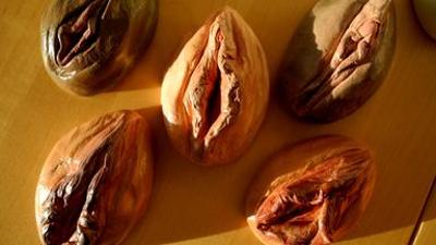 scobel: Lust und Tabu