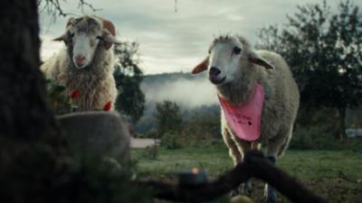 Sheep: Käfige
