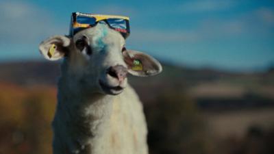 Sheep: Schafe