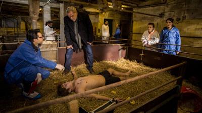 SOKO München: Staffel 33, Folge 1: Tod im Schweinestall SOKO München: Staffel 33, Folge 1: Tod im Schweinestall
