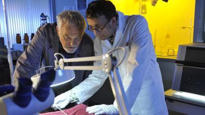 SOKO Stuttgart: Staffel 7, Folge 13: Wir haben Ludmilla