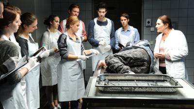 SOKO Stuttgart: Staffel 9, Folge 3: Eiskalt