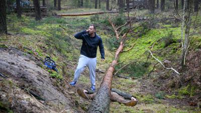 SOKO Wismar: Staffel 20, Folge 5: Holz fällt!