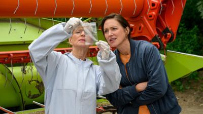 SOKO Wismar: Staffel 22, Folge 16: Der Tod im Kornfeld