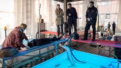 SOKO Wismar: Staffel 16, Folge 4: Die Rache der Ostseeschnäpel