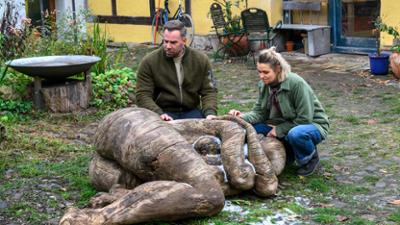 SOKO Wismar: Staffel 23, Folge 2: Königin der Hölzer