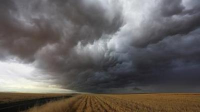 sonntags: Der Tod ist sch...