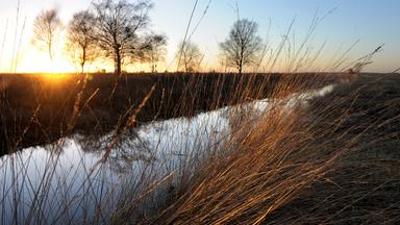 sonntags: Jung dem Tod begegnen