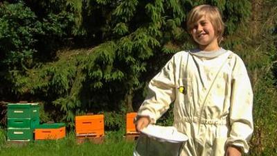 stark!: Moritz - Meine Honigmacher