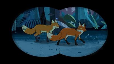 Taylors Welt der Tiere: Operation Rotfuchs Taylors Welt der Tiere: Operation Rotfuchs